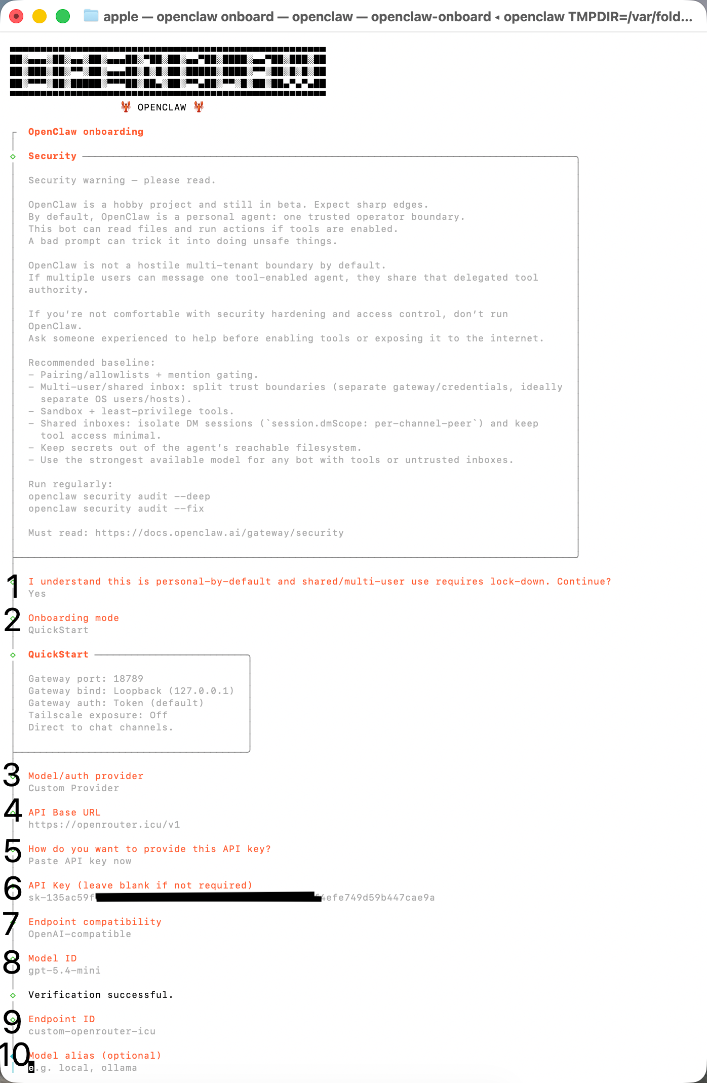 OpenClaw custom provider setup